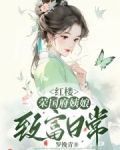 红楼:荣国府姨娘致富日常