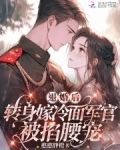 退婚后,转身嫁冷面长官被掐腰宠小说