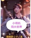 小司机出走之谜完整版