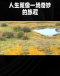 言情故事短篇