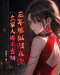三年牢狱小说