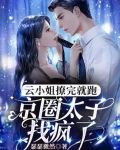 太子的命根子被踢小说