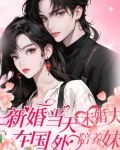新婚当天未婚夫在国外陪养妹在那个网找到此小说