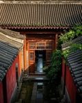 四合院:一切从劳改贾张氏开始!