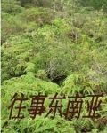 闯入缅北的一群人