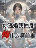 你逃我追的小说