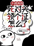 不就和你死对头领个证,怎么了?