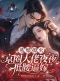 逃婚小说