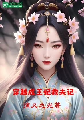 穿越成王妃救夫记小说