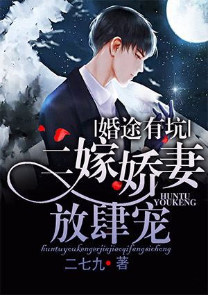 婚途有坑:二嫁娇妻放肆宠