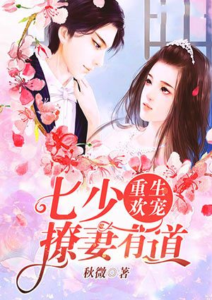 重生欢宠:七少撩妻有道