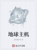 地球主机顶点