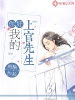 你好,我的上官先生
