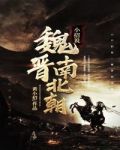 小招说:魏晋南北朝