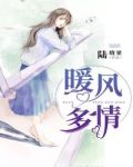 暖风多情陆皓阳
