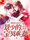 暖婚蜜爱景少宠妻至上