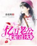 亿万老公宠妻上天免费阅读
