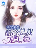 萌宝来袭酷冷总裁宠上瘾小说