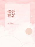 错爱难欢沈辞聿
