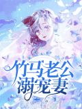 竹马老公溺宠妻顾念洛珈