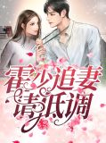 霍少追妻请低调陆笙霍沉