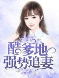 酷爹地强势追妻沈言欣慕思涵