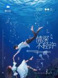情深不轻许免费阅读