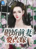 傲娇前妻要改嫁向晚下载