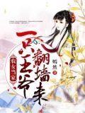 农女当家:一只王爷翻墙来
