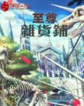至尊杂货铺下载