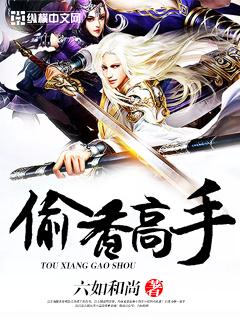 偷香高手小说全文免费阅读