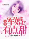 九零军婚有点甜好看吗