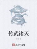 传武诸天txt
