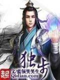 独步天下电视剧免费观看